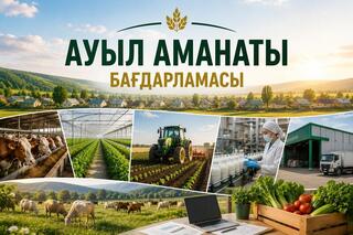 С 1 июля в Жетісу начался прием заявок на получение кредита в рамках программы «Ауыл аманаты»