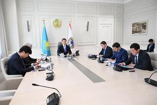 Дархан Сатыбалды: Важно не просто сажать деревья, а ухаживать за ними