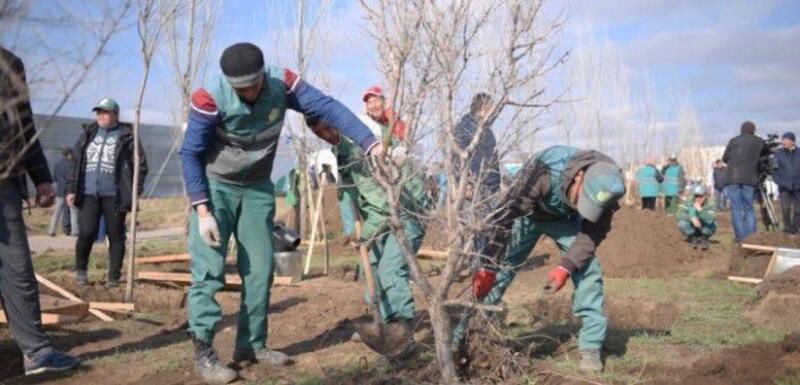 Масштабный общегородской субботник стартовал в Астане
