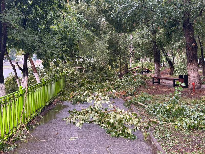 Аким ВКО поручил оперативно устранить последствия ливня в области