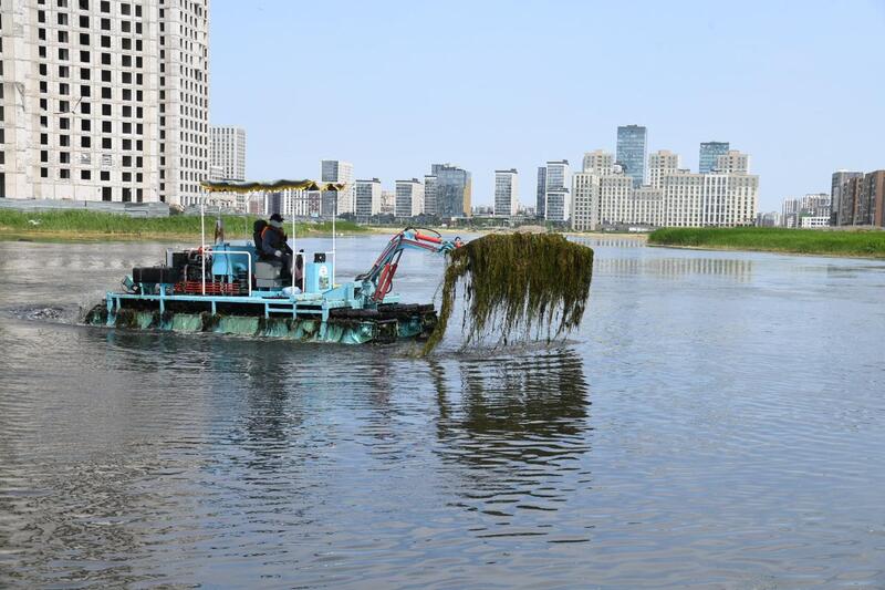 Таза Қазақстан: в Астане запустили биологическую очистку городского водоёма