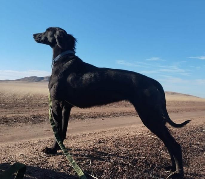Семья из Бухар-Жырауского района стала призёром республиканского фотоконкурса «Я и мой тазы»