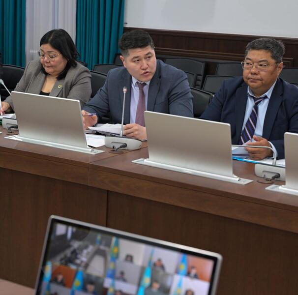 Сегодня в акимате области рассмотрели вопросы благоустройства и санитарной очистки населенных пунктов