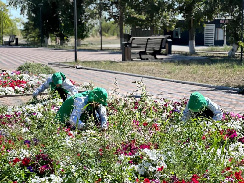 Рассмотрены вопросы реализации государственной молодежной политики и развития массового спорта в регионе