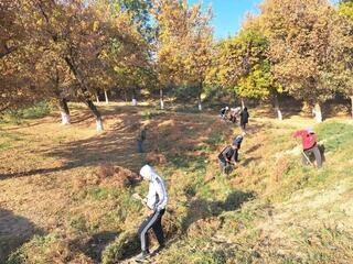 ТУРКЕСТАН: ЖИТЕЛИ ЖЕТЫСАЯ АКТИВНО УЧАСТВУЮТ В СУББОТНИКАХ
