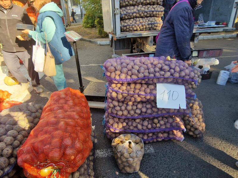 Сельхозярмарки по стране: цены, эмоции, статистика
