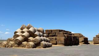 В Казахстане заготовлено 13,8 млн тонн кормов