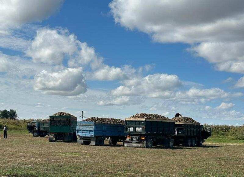 Аграрии Сарканского района приступили к уборке сахарной свеклы