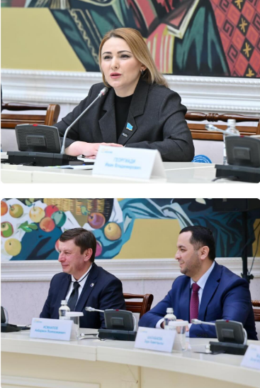 Новая Конституция как основа единства: Коалиция встретилась с общественностью Карагандинской области