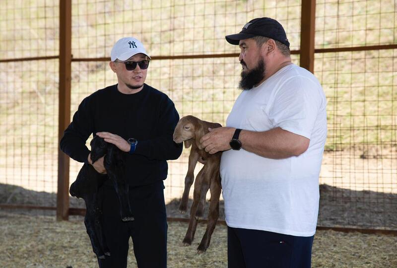 Начинается важный сезон для животноводов