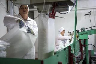 C начала года в Коксуском районе произведено сельхозпродукции на 30,5 млрд. тенге