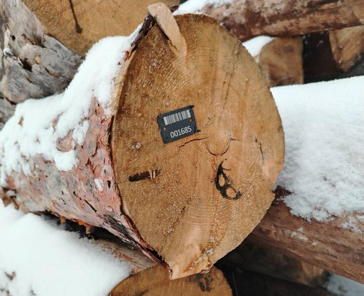 В Казахстане подведены итоги пилотного проекта по маркировке древесины