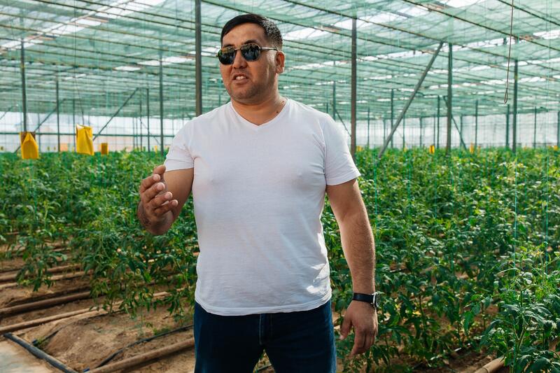 Атырау өнімі: атырауская семья производит тысячи тонн овощей в год