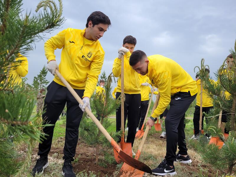 «Таза Қазақстан»: к 100-летию Ассоциации «Динамо» в столице высажено 150 саженцев сосны
