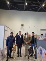 В Астане состоялась монопородная выставка «Kazakh Tazy»