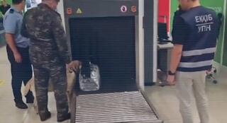 МВД: Беспечность при перевозке чужих вещей может обернуться сроком