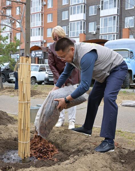 В Павлодарской области в рамках акции «Таза Қазақстан» высадили тысячи деревьев