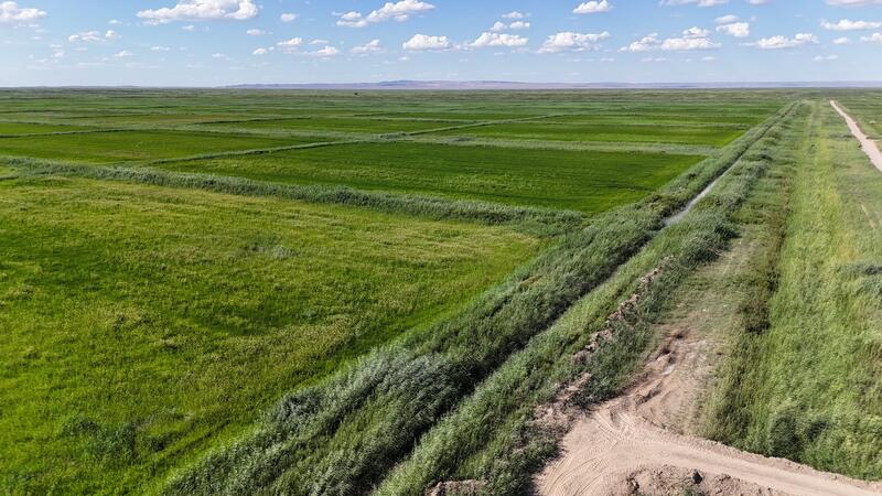 Заместитель Премьер-министра ознакомился с работой фермерского хозяйства «Мағжан и К»