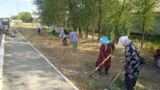 В МЕРОПРИЯТИИ ПО УБОРКЕ В САУРАНЕ ПРИНЯЛИ УЧАСТИЕ ОКОЛО 300 ЧЕЛОВЕК