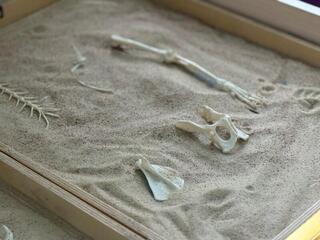 В Астане прошел городской семинар «В мире профессий»