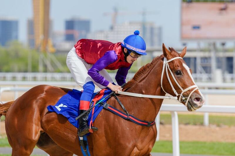 В Астане проходит республиканский турнир по байге