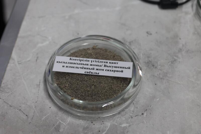 Ученые Сатпаева разработали ценные материалы из сельхозотходов