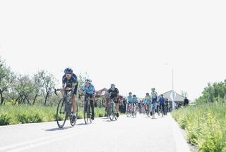 «Таза Қазақстан»: массовый велопробег в честь 30-летия Конституции пройдет в столице