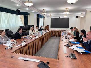 В. Шегай встретилась с представителем ЮНИСЕФ П. Дэйл