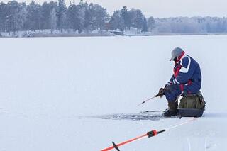 В ТУРКЕСТАНСКОЙ ОБЛАСТИ ПРОХОДИТ АКЦИЯ 