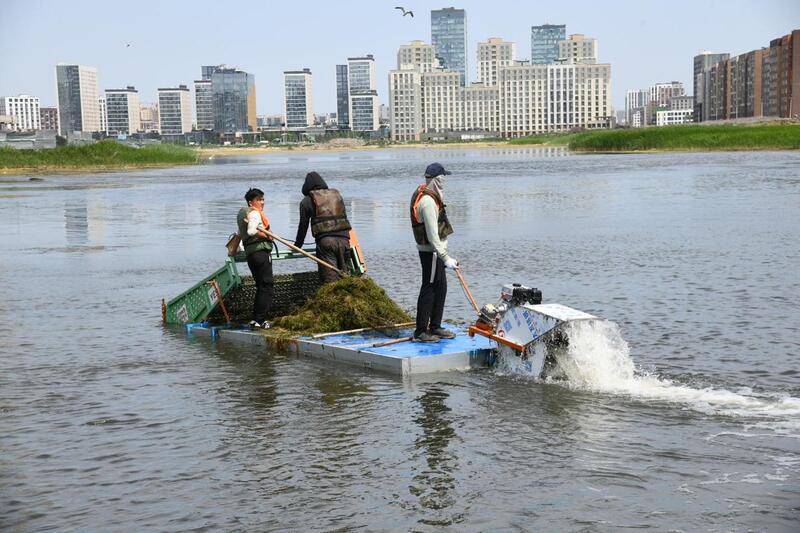 Таза Қазақстан: в Астане запустили биологическую очистку городского водоёма