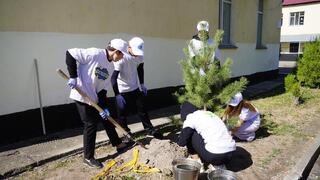 «Таза Қазақстан»: в Жетісу прошла экологическая акция «Ардагерлерге тағзым», посвященная 80-летию Великой Победы