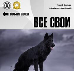 В кадре и в жизни: в Караганде объединят фотоэкспозицию и выставку собак