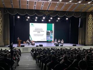 Как будет развиваться столица до 2035 года: в Астане проходят слушания по стратегической экологической оценке Генплана