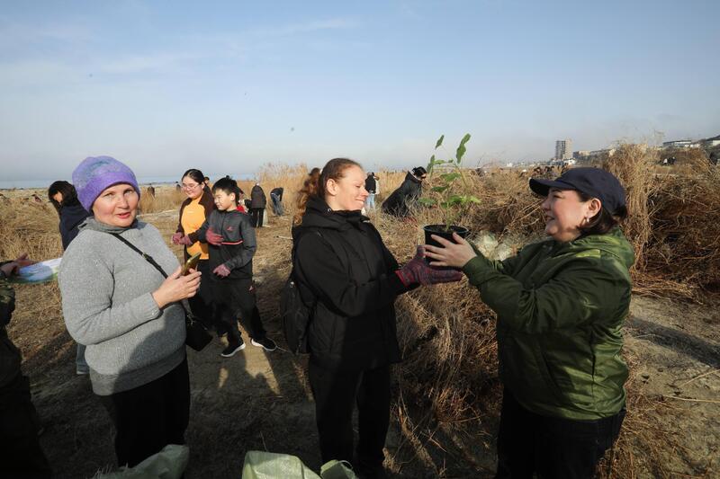 В Мангистауской области в рамках экологической акции «Тазару күні» прошёл масштабный субботник