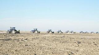 Началась осенняя посадка саксаула на осушенном дне Аральского моря