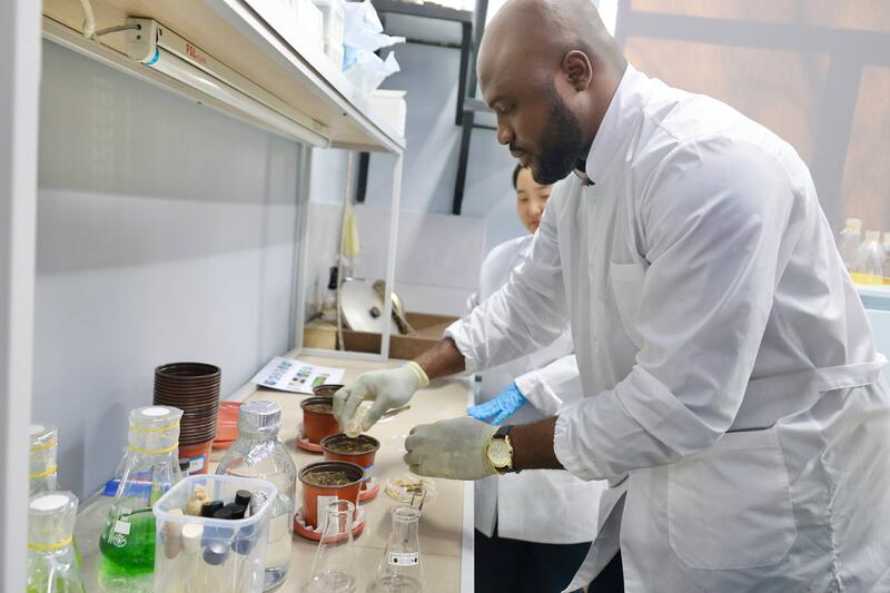 Научная разработка казахстанских ученых открывает путь к созданию новых биоудобрений