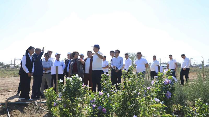 АРЫСТЫҢ АҒАШ ӨСІРУ ТӘЖІРИБЕСІ ТҮРКІСТАН ОБЛЫСЫНЫҢ АУДАН-ҚАЛАЛАРЫНА ТАНЫСТЫРЫЛДЫ