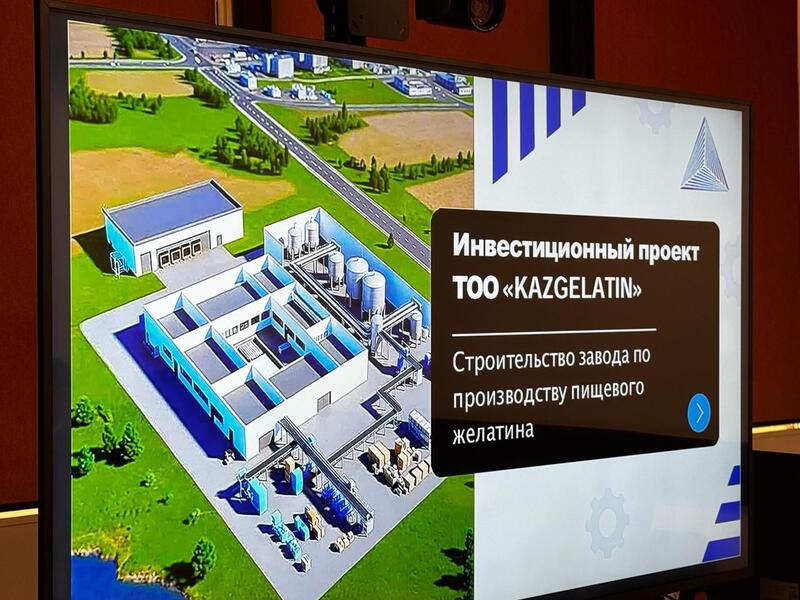 В Казахстане построят завод по производству пищевого желатина мощностью 10 тыс. тонн в год