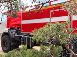 В Бурабае оперативно ликвидировали лесное возгорание благодаря системе раннего обнаружения пожаров «Smart»