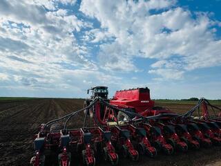 В южных регионах засеяно 804 тысячи гектаров