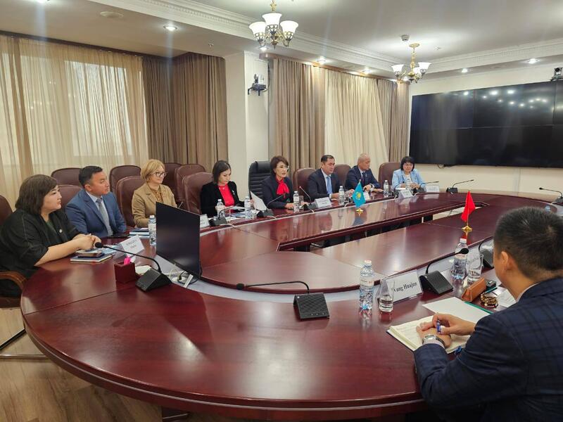 А.АЛЬНАЗАРОВА С ДЕЛЕГАЦИЕЙ КНР ОБСУДИЛИ СОВМЕСТНЫЕ ИНИЦИАТИВЫ В СФЕРЕ ЗДРАВООХРАНЕНИЯ