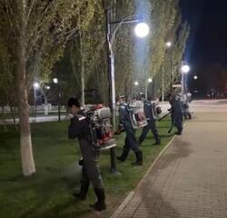 В Астане стартовал третий тур дезинсекционных работ против комаров