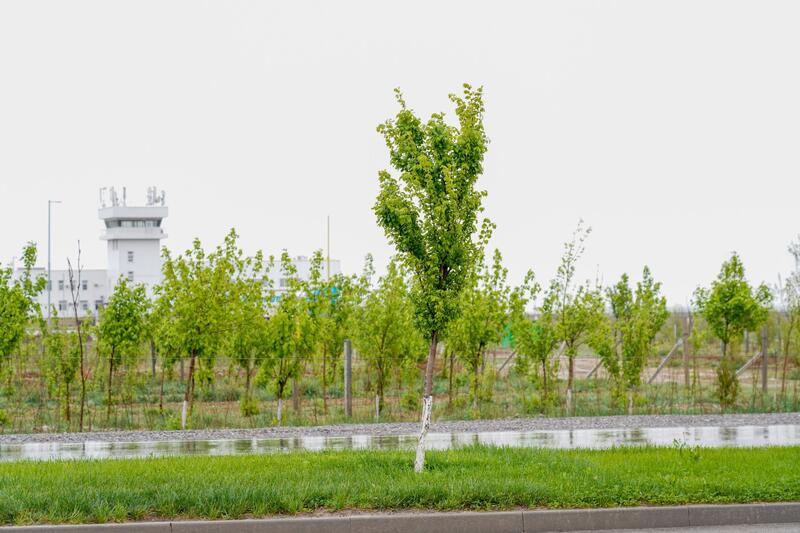 В ТУРКЕСТАНЕ ОБСУДИЛИ ХОД СОЗДАНИЯ ЭКОПАРКА