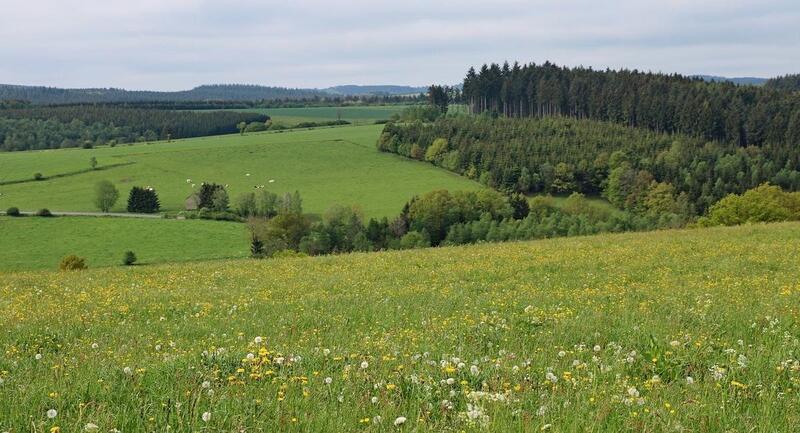 Более 128 тысяч гектаров неиспользуемых земель возвращено в госсобственность