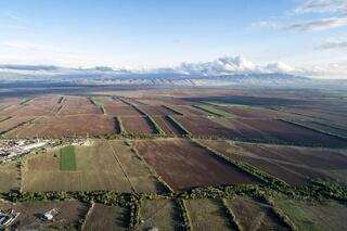 В этом году в Жетысу возвратят 220 тыс. га неиспользуемых земель