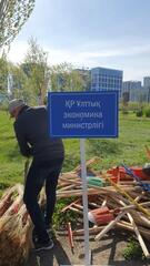 Командой - за чистоту: сотрудники МНЭ провели субботник в Ботаническом саду