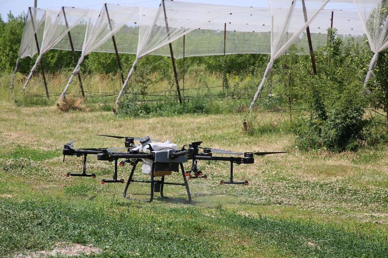 Учёные НАНОЦ провели семинар по защите апорта от климатических угроз и вредителей