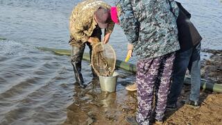 В Акмолинской области проведено зарыбление реки Селеты