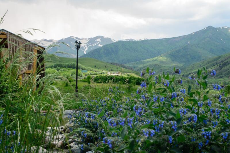 В ТУРКЕСТАНСКОЙ ОБЛАСТИ ОБСУЖДЕНЫ ПУТИ РЕАЛИЗАЦИИ СОЦИАЛЬНО-КУЛЬТУРНЫХ ПРОЕКТОВ