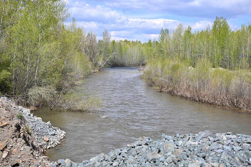 Аким области ознакомился с состоянием моста через реку Талменка в Кокпектинском районе